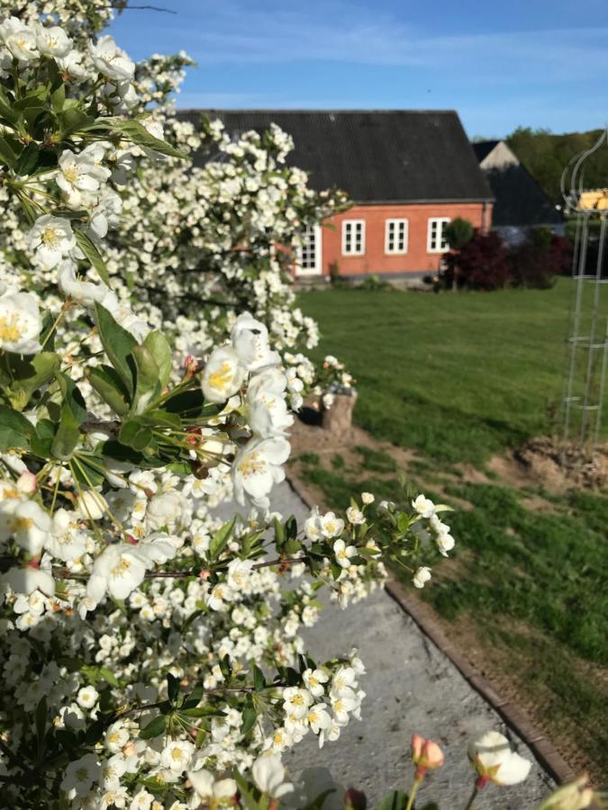 Brorup Kjaersgaard, Hygge, Ro, Natur Og Landliv Skanderborg Esterno foto