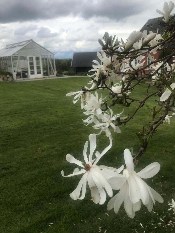 Brorup Kjaersgaard, Hygge, Ro, Natur Og Landliv Skanderborg Esterno foto