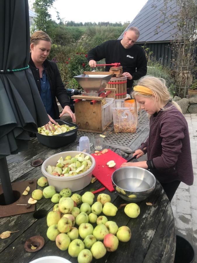 Brorup Kjaersgaard, Hygge, Ro, Natur Og Landliv Skanderborg Esterno foto